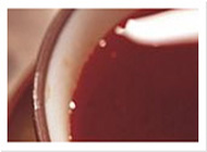 真真切切帮您的网页端ddos